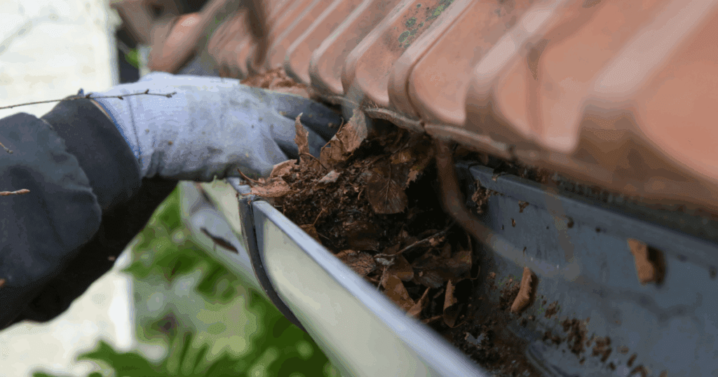 Gloved hand removing soggy leaves and buildup from a residential gutter, showing the necessity of clean gutters for proper drainage.