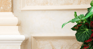 Close-up of wall molding and faux-finish paint with plant in foreground.
